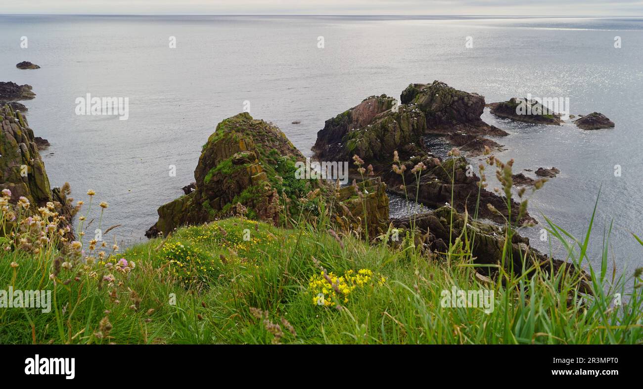 Felsige Küste, etwa einen Kilometer östlich von Cruden Bay Stockfoto