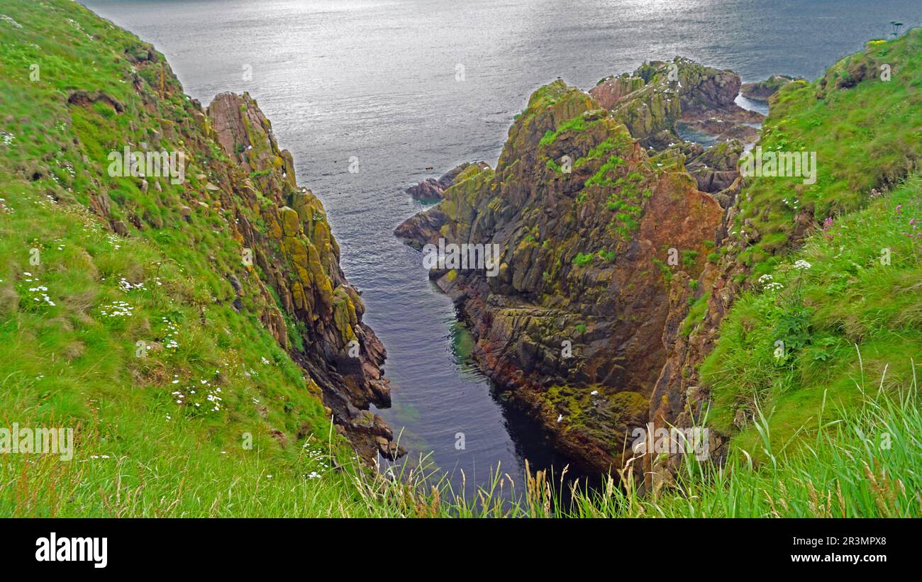 Felsige Küste, etwa einen Kilometer östlich von Cruden Bay Stockfoto