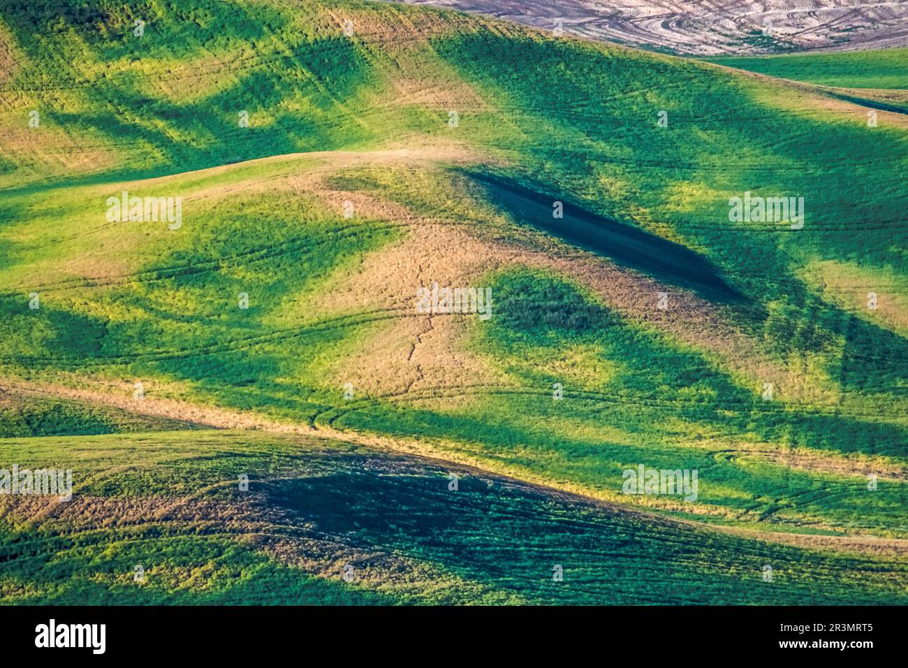Landschaftsszenen in palouse washington Stockfoto