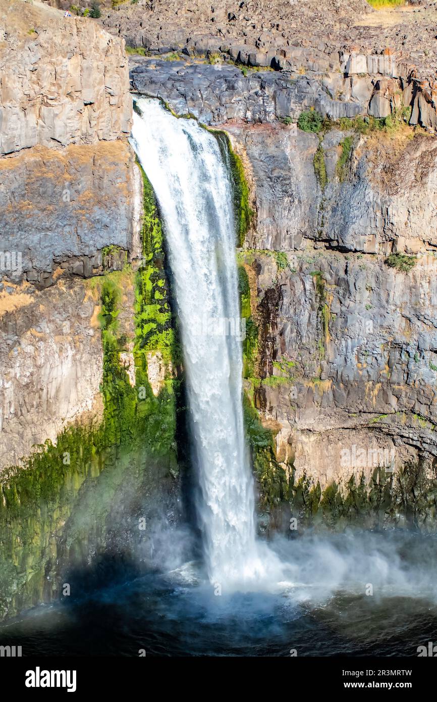 Die Palouse fällt in Eastern Washington, USA Stockfoto