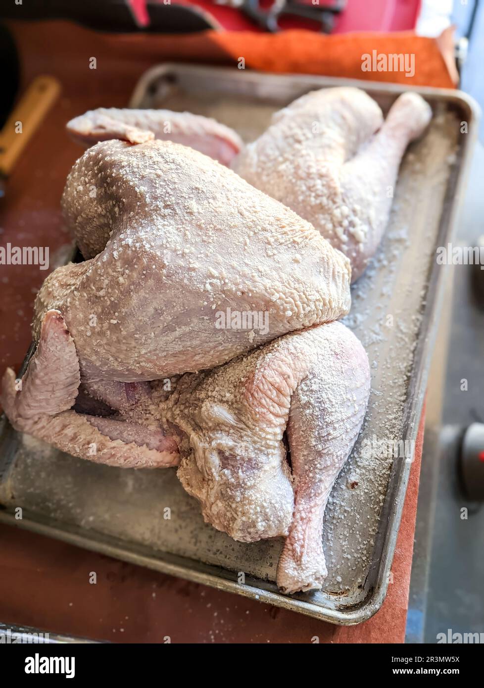 spatchcockpute zum Thanksgiving-Abendessen zum Rauchen vorbereitet Stockfoto