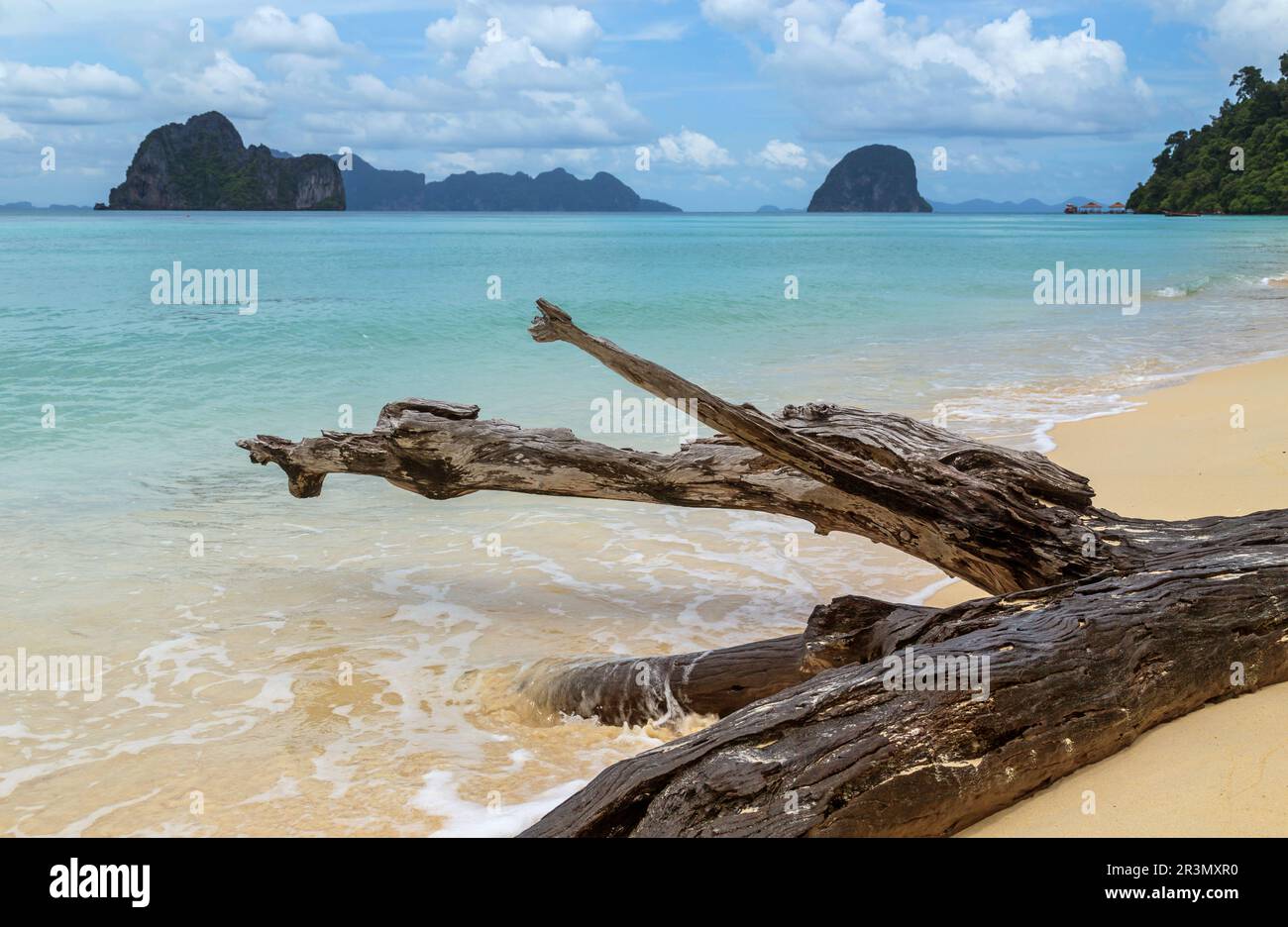 Paradiesstrand auf der Insel Koh ngai, Trang, Thailand Stockfoto