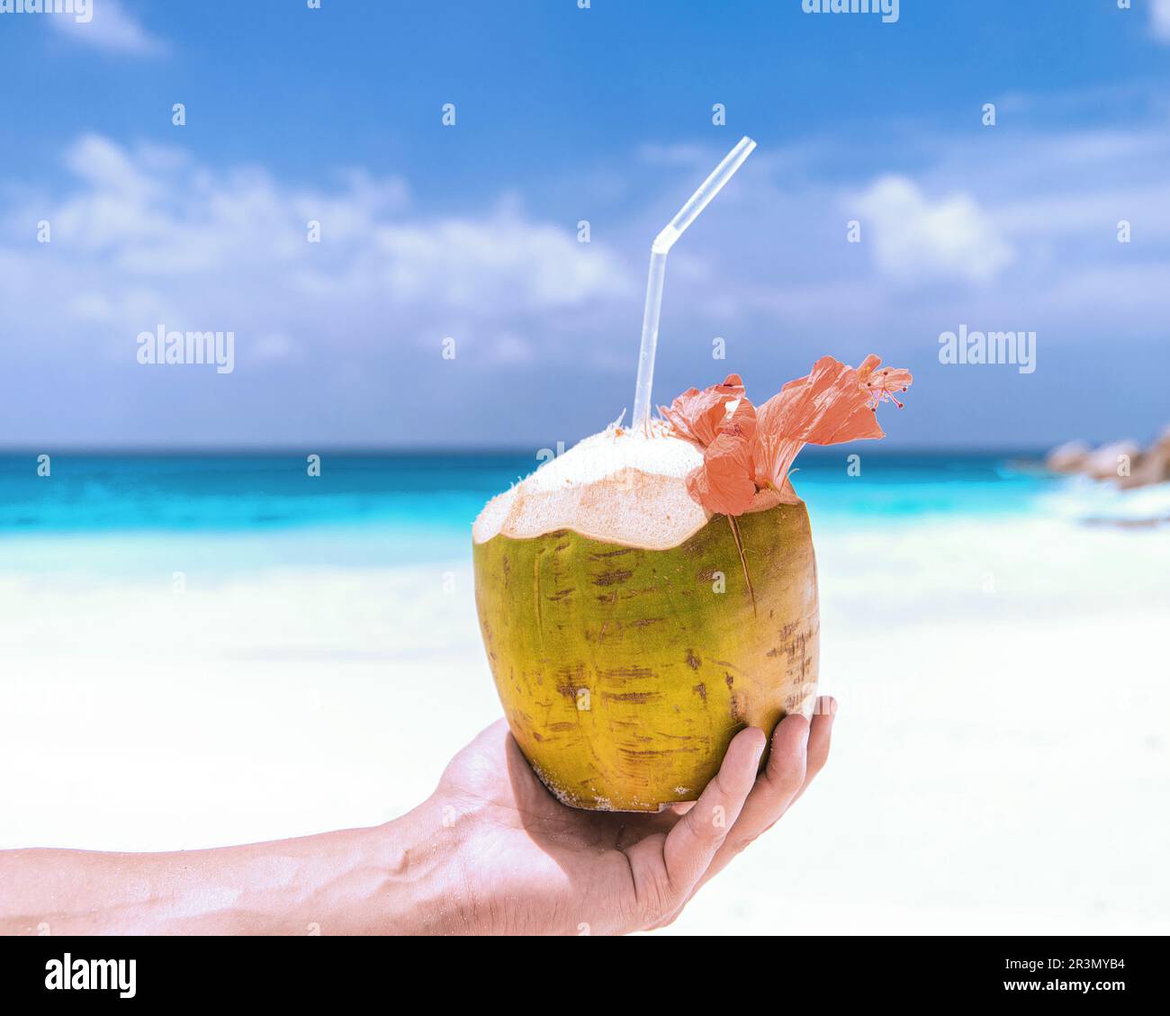 Kokosnuss an einem weißen tropischen Strand auf den Seychellen, Kokosnuss trinken in Männerhand Stockfoto