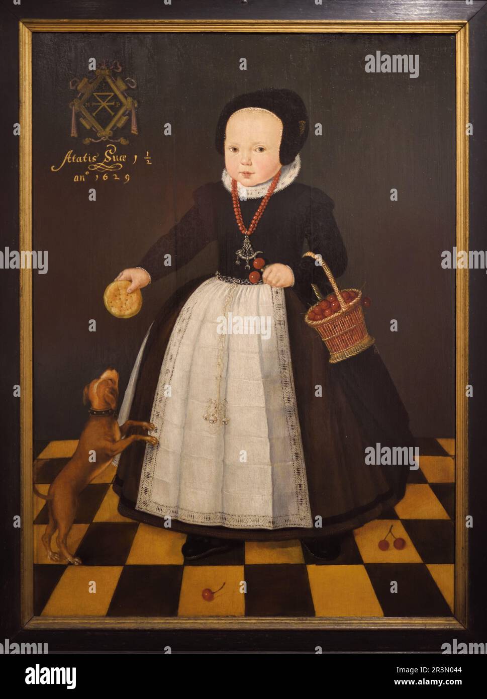 Porträt von Grietge Maertensdochter (1629) Anon. Junge holländische Aristokratin trägt Bourgeois-Kostüm und füttert Einen Hund Mit einem Brötchen. Ölgemälde. Stockfoto