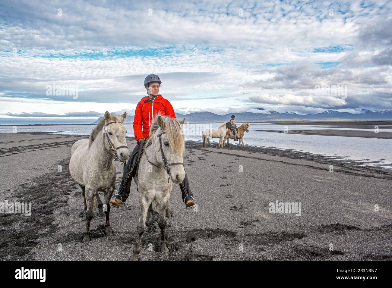 Island / Ostisland/Husey/ der Bauernhof bietet kurze und lange Wanderungen zu Pferd in Richtung Dünen und Meer. Stockfoto