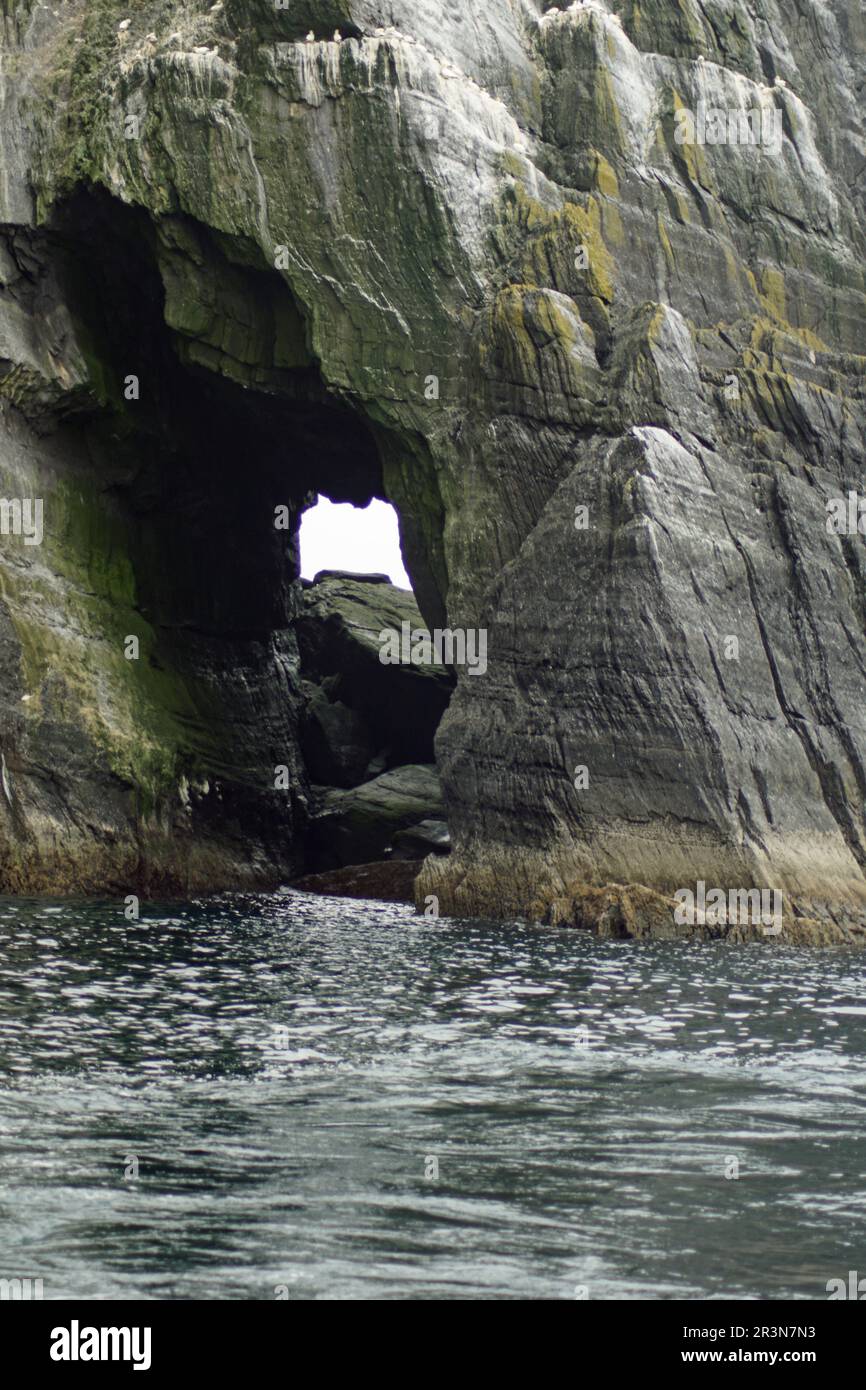 Kleine Skellig-Welten zweitgrößte Gannetkolonie Stockfoto