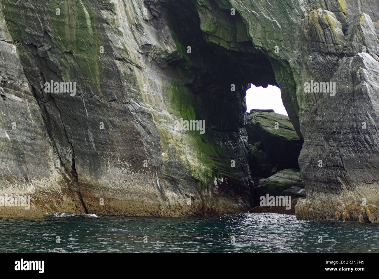 Kleine Skellig-Welten zweitgrößte Gannetkolonie Stockfoto