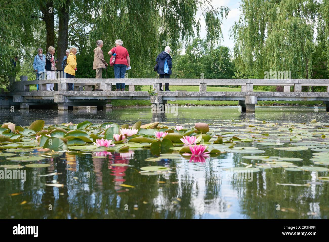 Gruppe älterer Frauen an einem See mit Seerosen in einem öffentlichen Park in Berlin Stockfoto
