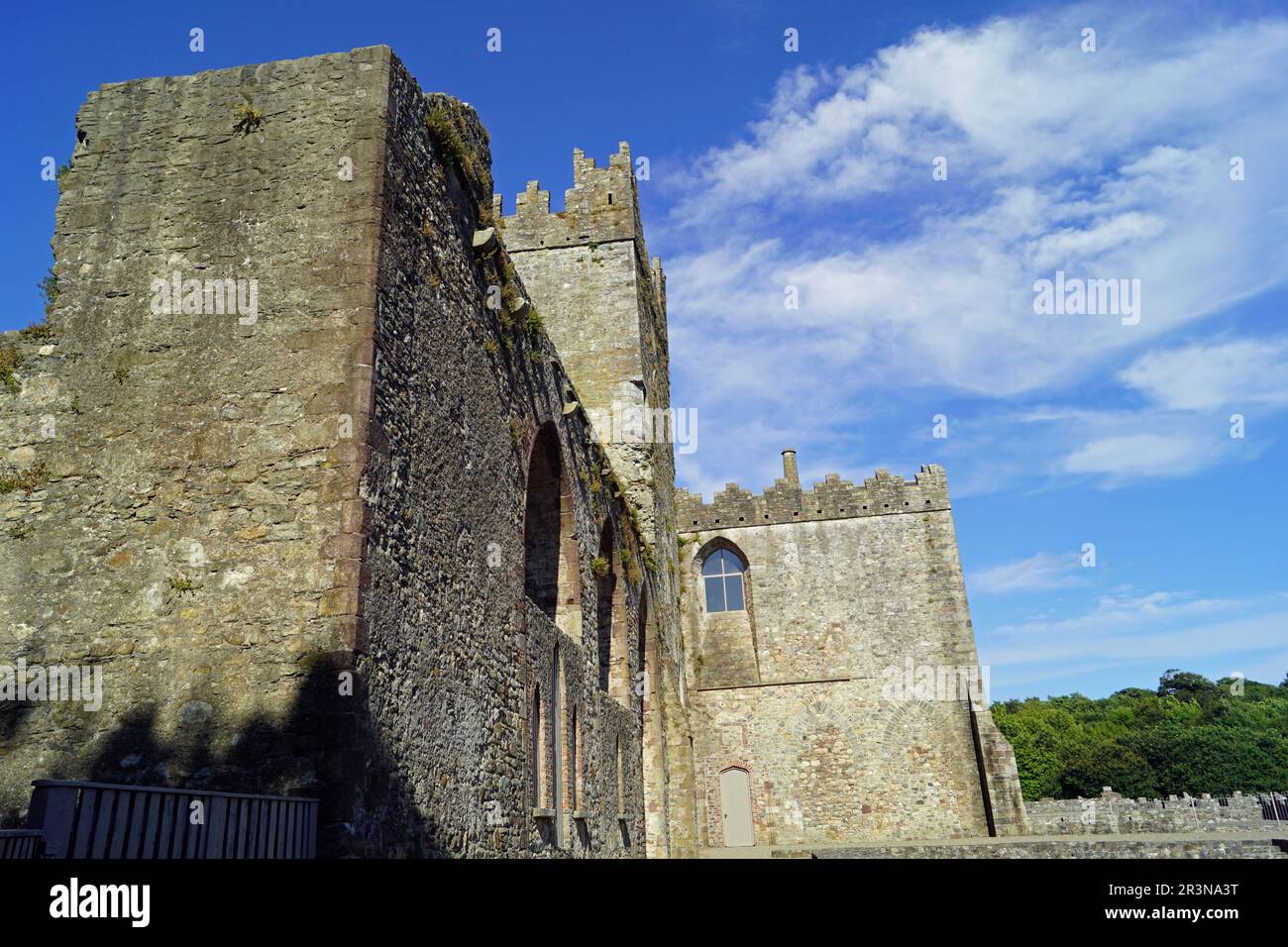 Tintern Abbey Irland Stockfoto