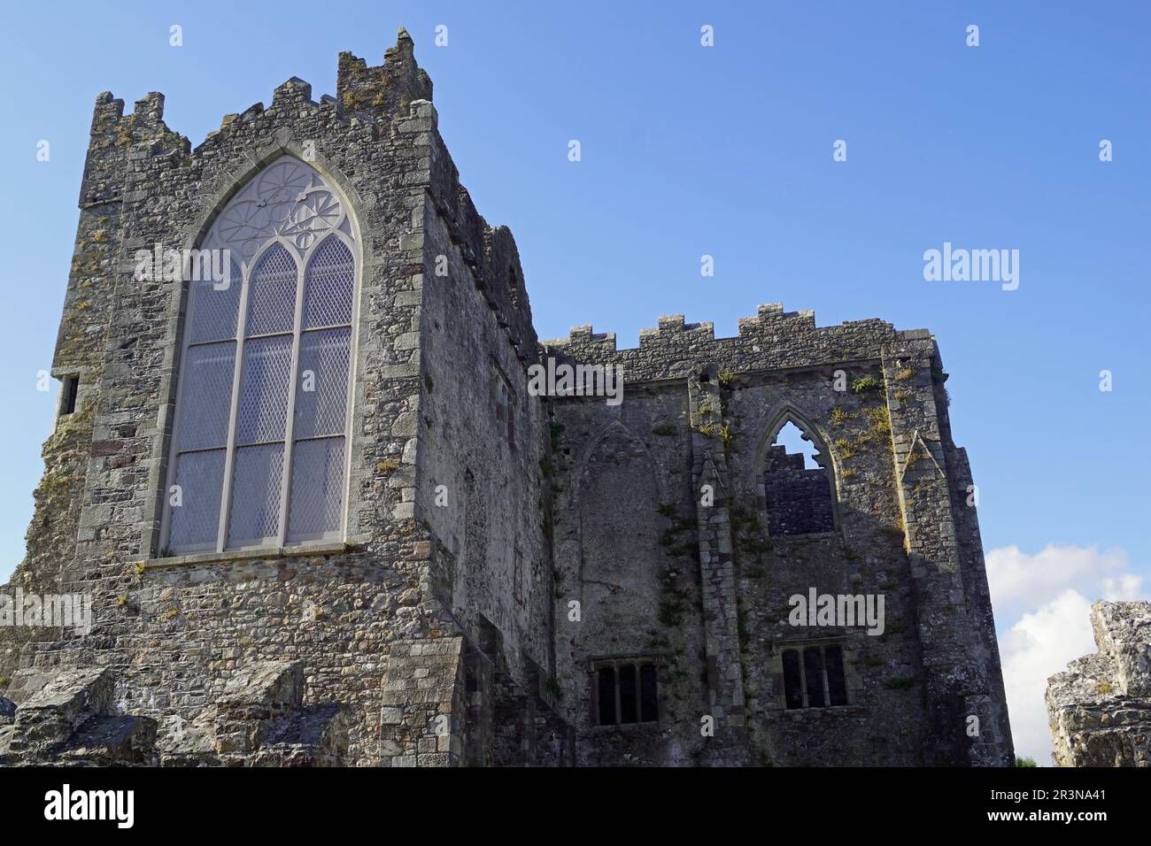 Tintern Abbey Irland Stockfoto