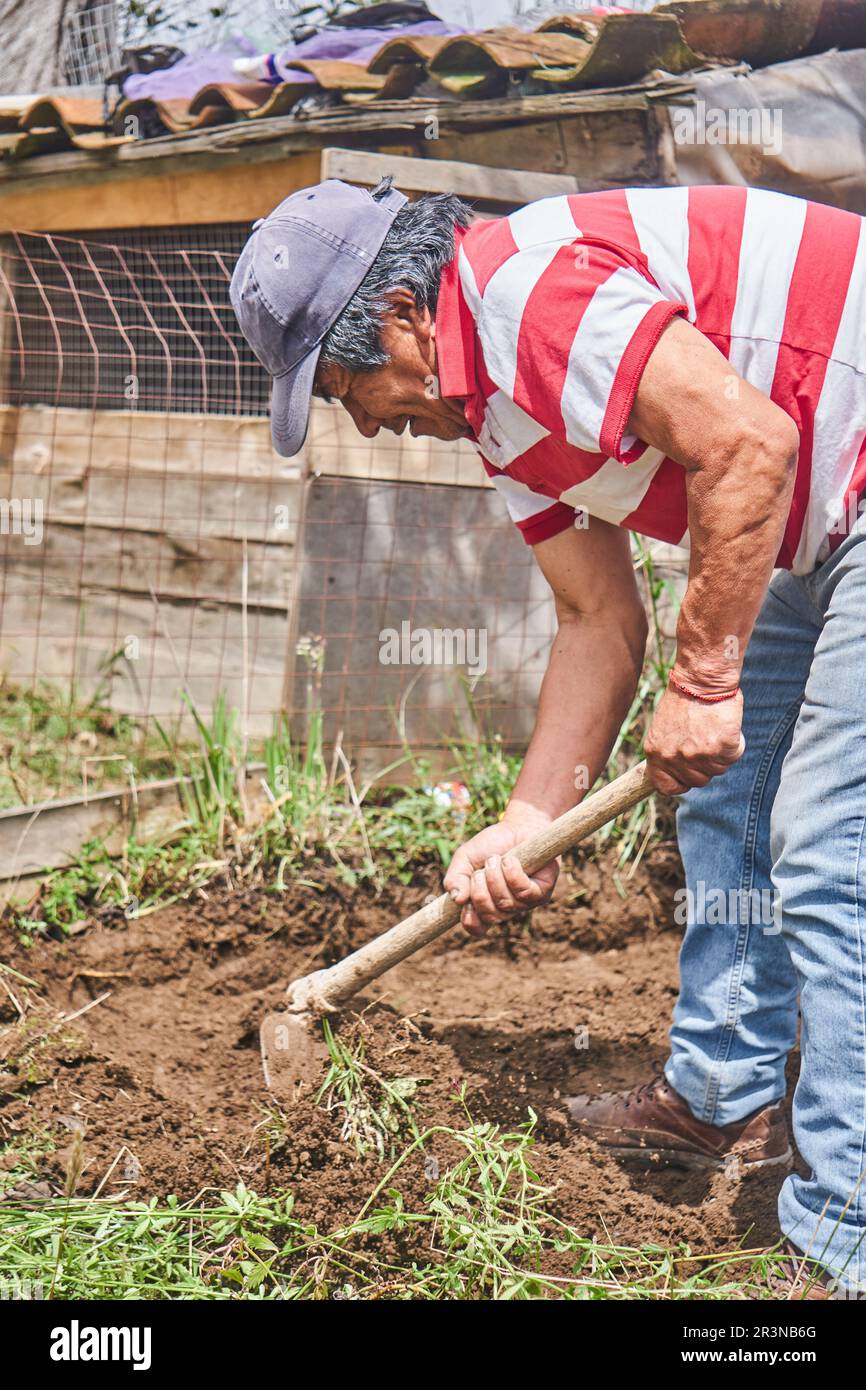 Seitenansicht eines gebündelten reifen Andenfarmers in Freizeitkleidung und Mütze mit Hacke bei der Bodenkultivierung während der Landarbeit in der Gemeinde Stockfoto