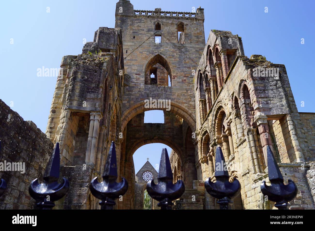 Jedburgh Abbey Stockfoto