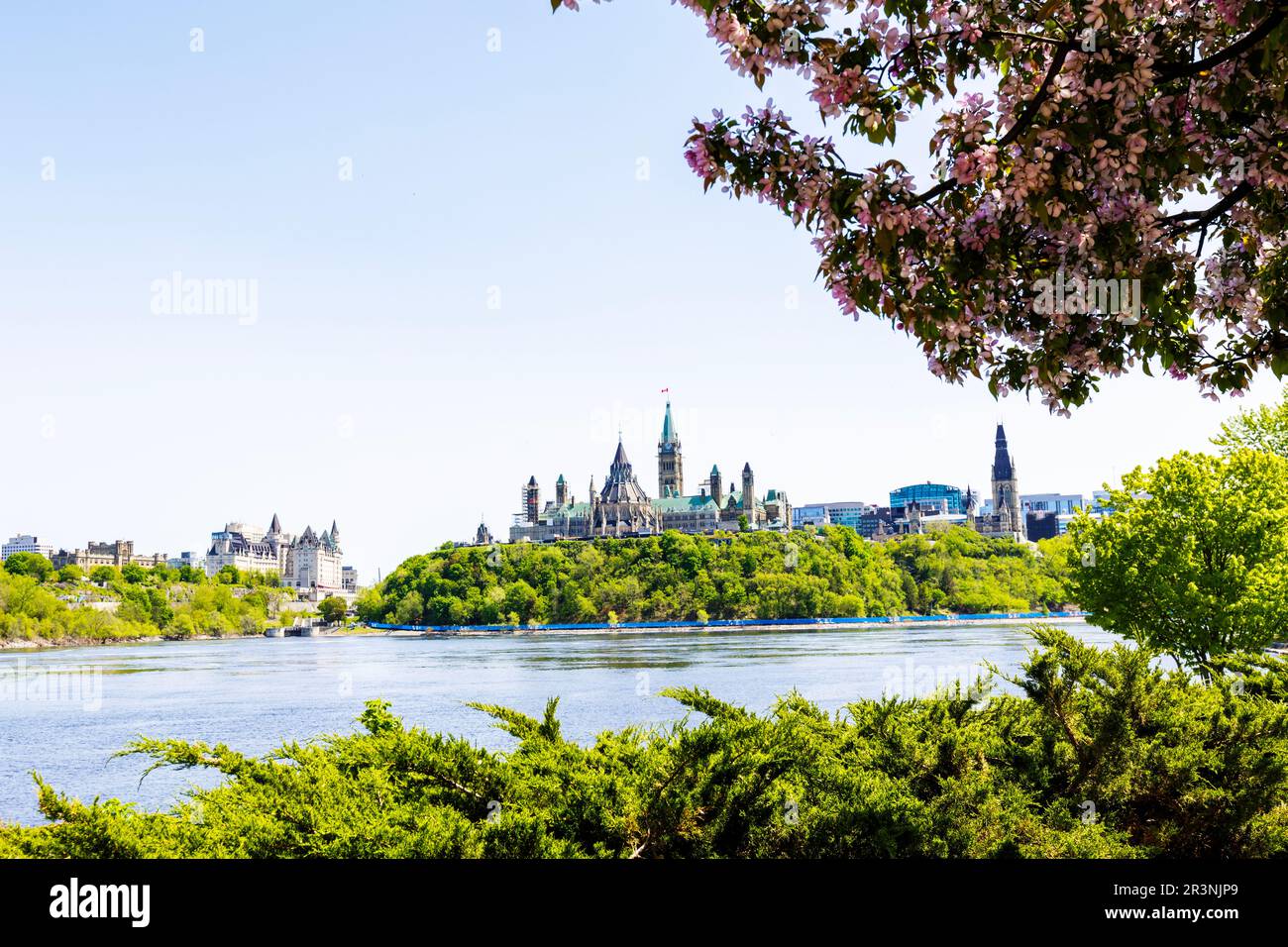 Ottawa beim Tulpenfest Stockfoto