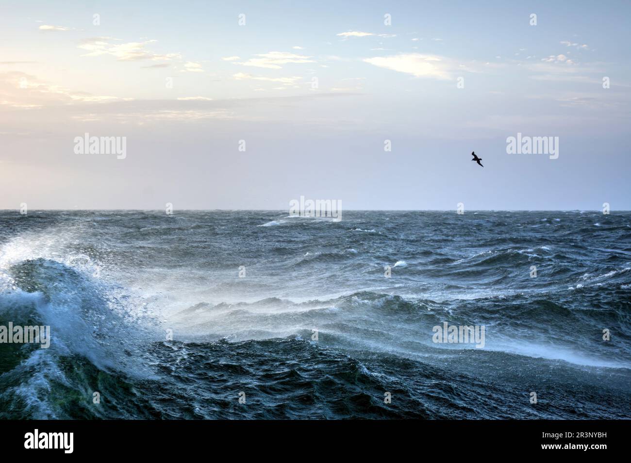 Stürmisches Meer in Drakes Passage Stockfoto