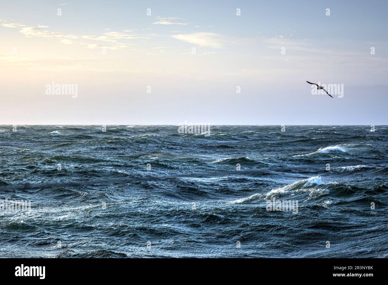 Stürmisches Meer in Drakes Passage Stockfoto