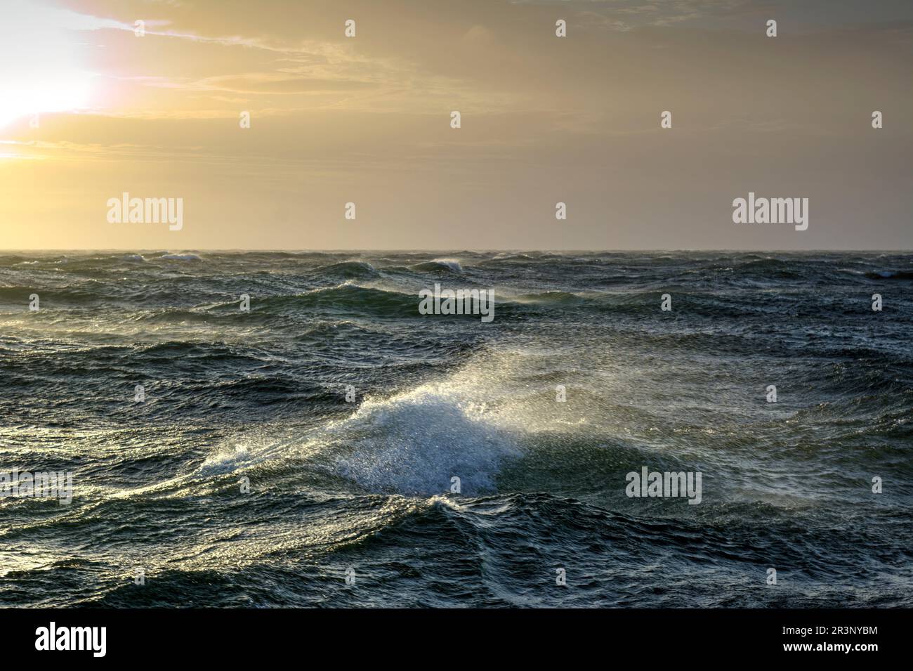 Stürmisches Meer in Drakes Passage Stockfoto