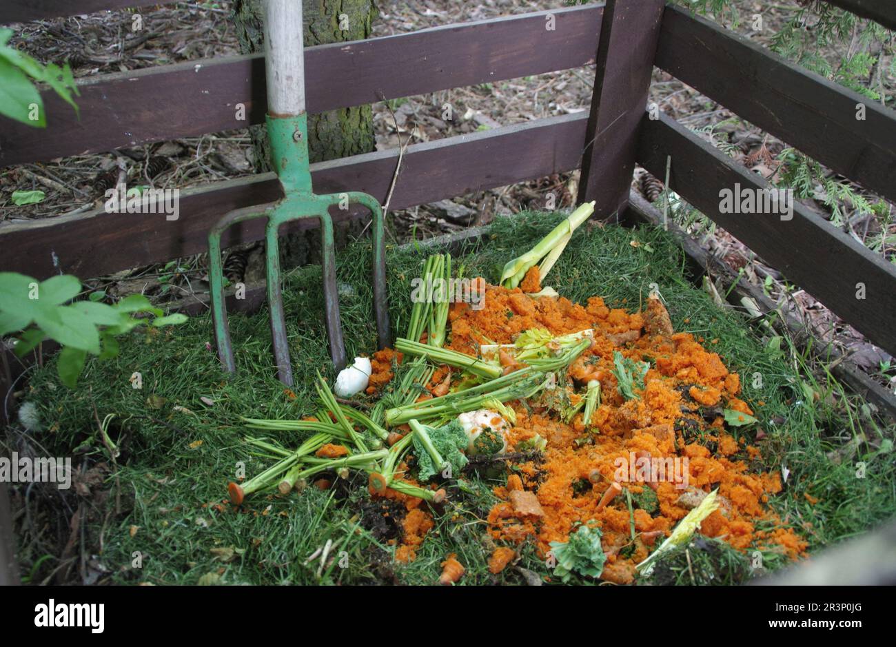 Organischer Kompost. Recycling von Lebensmitteln im Garten und nachhaltiges Leben. Der Mann wirft Küchengemüse und Obstreste für Biodegradati Stockfoto