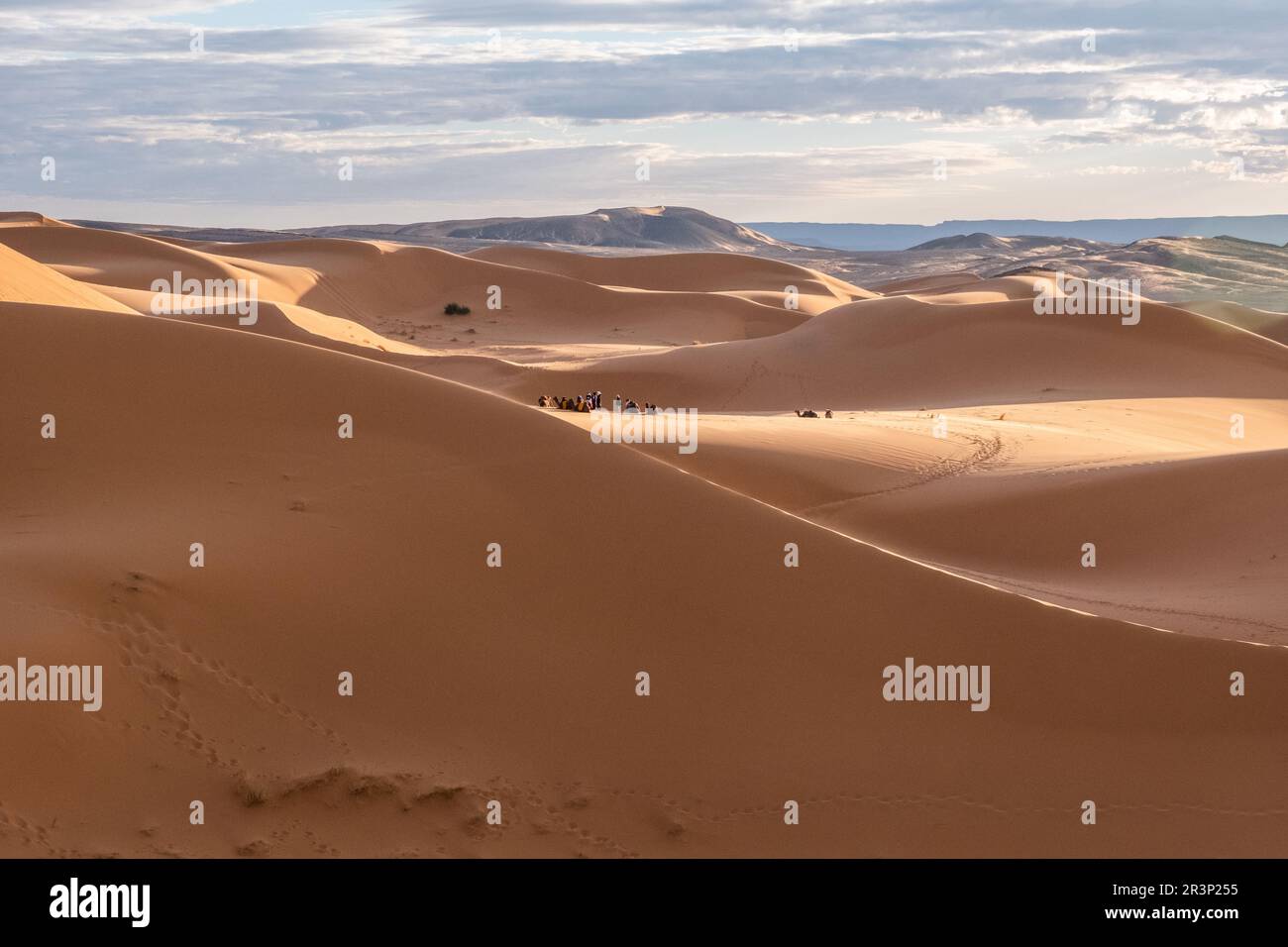 Schönen Sanddünen in der Wüste Sahara. Stockfoto