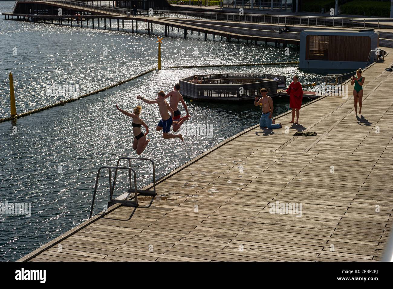 Schwimmer springen ins Wasser am Ufer von Kalvebod Brygge, Kopenhagen, Dänemark Stockfoto