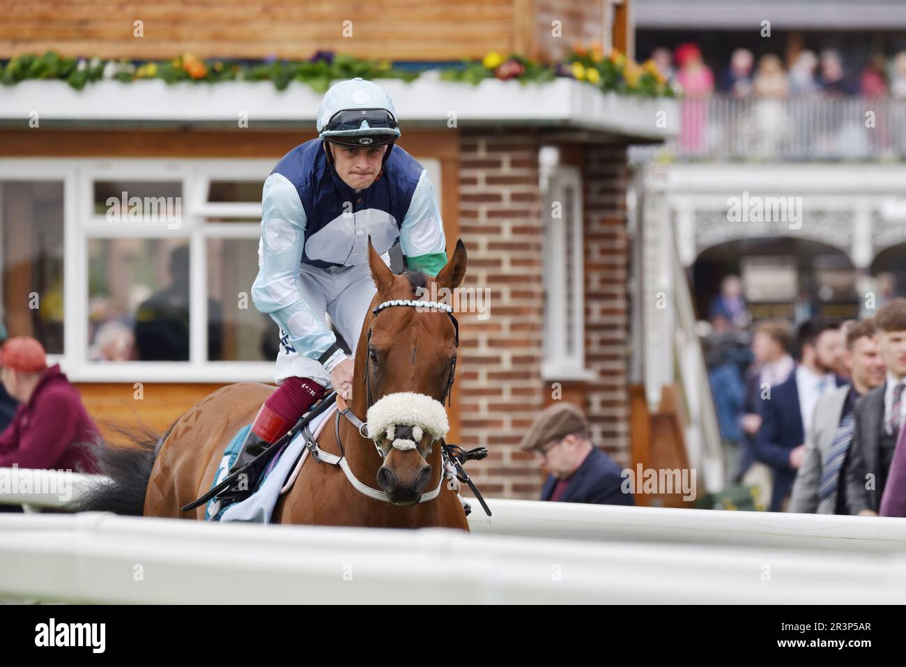 Jockey Callum Rodriguez und Horse Regional beim Dante Festival Stockfoto