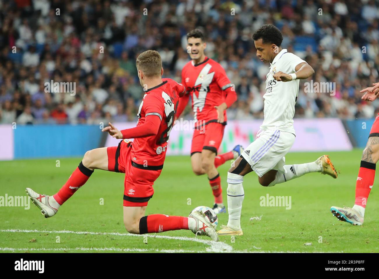 Madrid, Spanien. 24. Mai 2023. Real Madrids Rodrygo in Aktion am Spieltag La Liga 36 Real Madrid und Rayo Vallecano im Santiago Bernabeu Stadion in Madrid, Spanien, am 24. Mai 2023. Kredit: Edward F. Peters/Alamy Live News Stockfoto