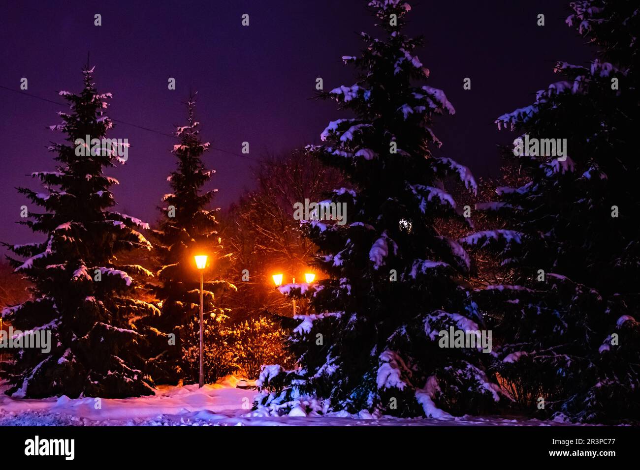 Laterne Night Snow Tree Stockfoto