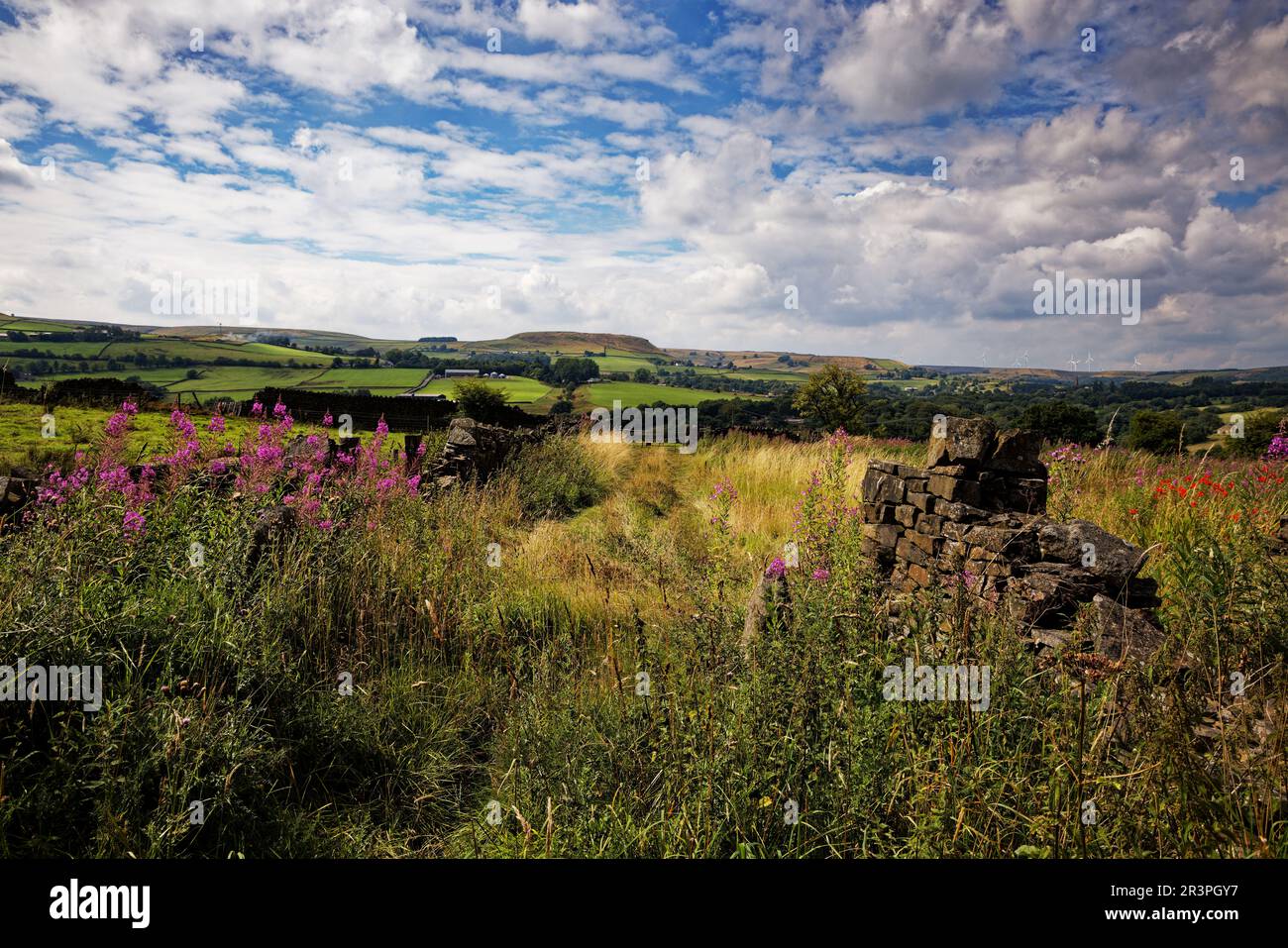 Blick über das Irwell Valley, West Pennines Stockfoto