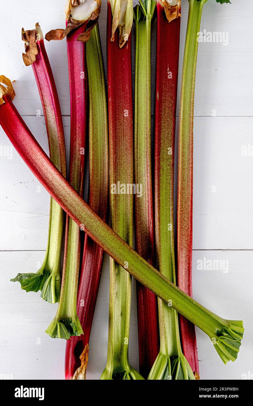 Rhabarberstämme auf weißem Hintergrund. Vertikales Foto Stockfoto