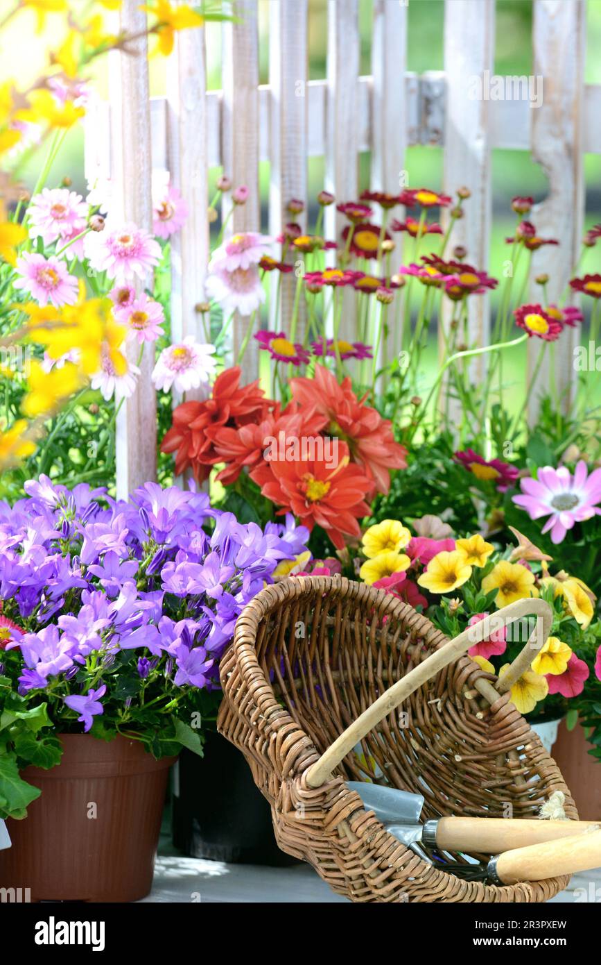 Farbenfrohe Blumen in einem Garten mit Strohhut und Gartenzaun Stockfoto