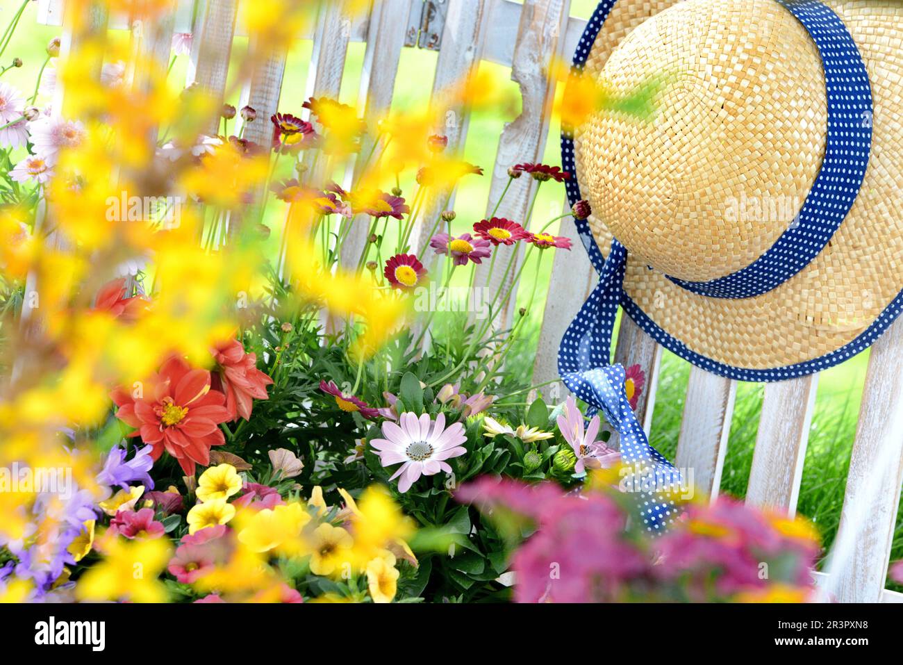 Farbenfrohe Blumen in einem Garten mit Strohhut und Gartenzaun Stockfoto