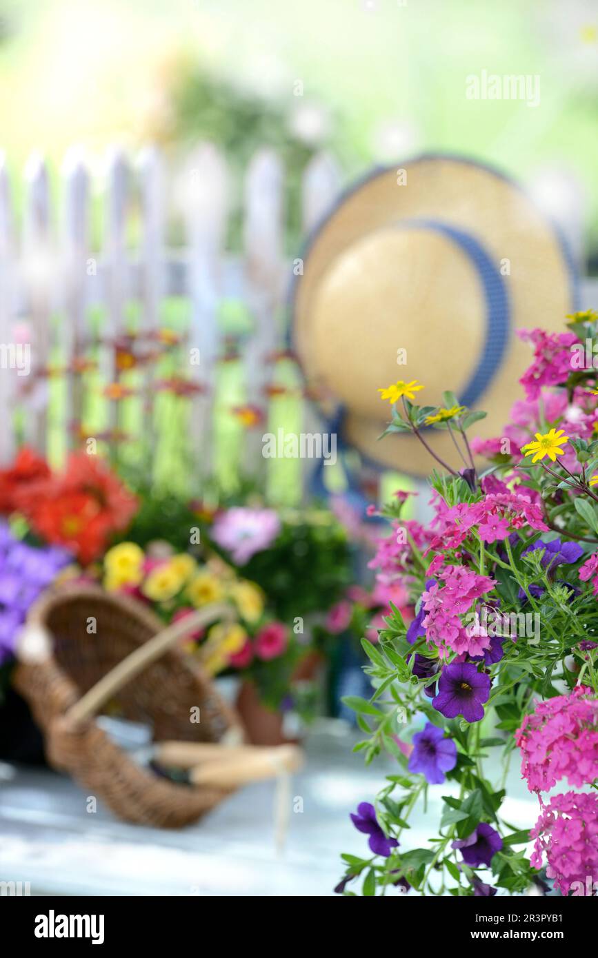 Farbenfrohe Blumen in einem Garten mit Strohhut und Gartenzaun Stockfoto