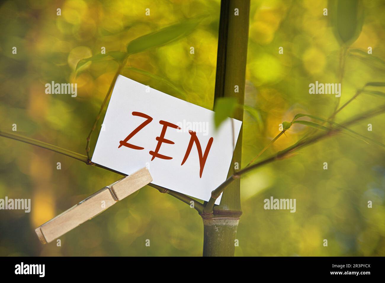 Memoblatt auf einem Bambus mit ZEN-Schriftzug Stockfoto