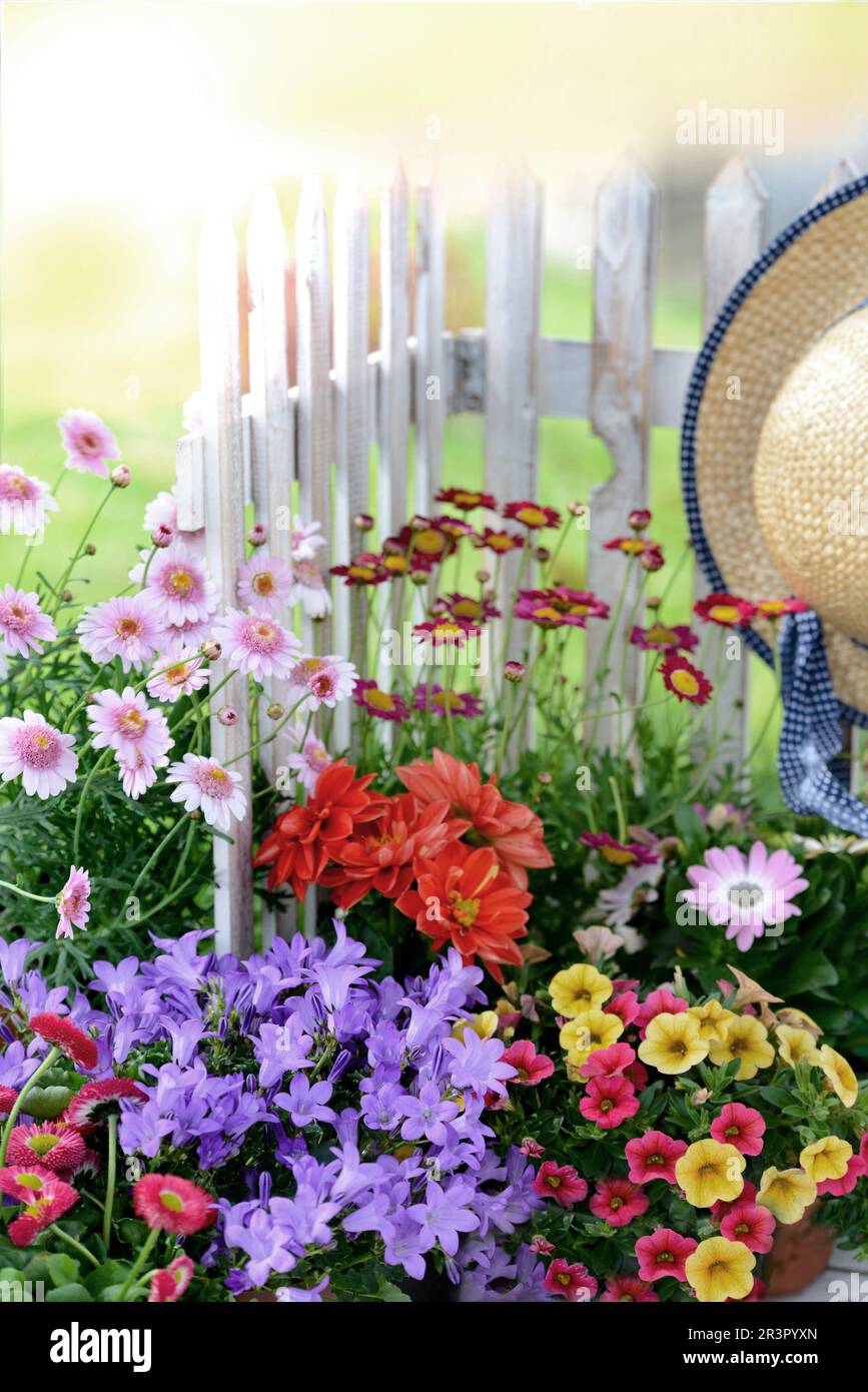 Farbenfrohe Blumen in einem Garten mit Strohhut und Gartenzaun Stockfoto