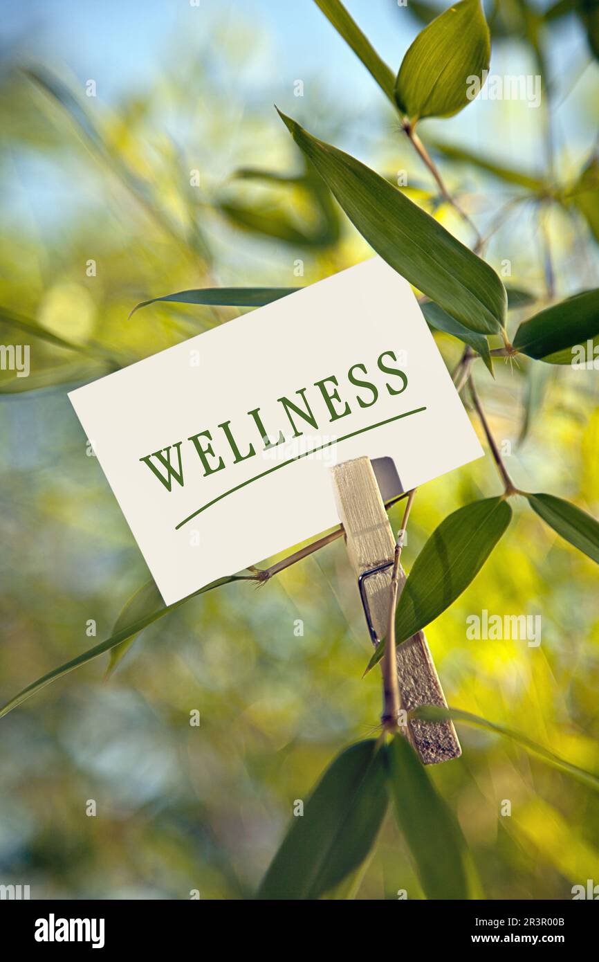 MEMO-Blatt bei einem Bambus mit Schriftzug Wellness Stockfoto