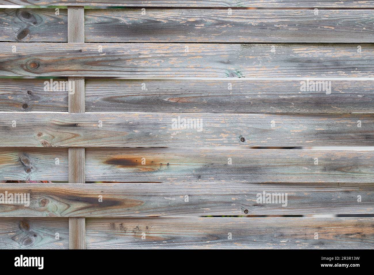 Holzlinientextur. Oberfläche der Holzstruktur mit natürlichem Muster. Grunge-Holz-Hintergrund Stockfoto