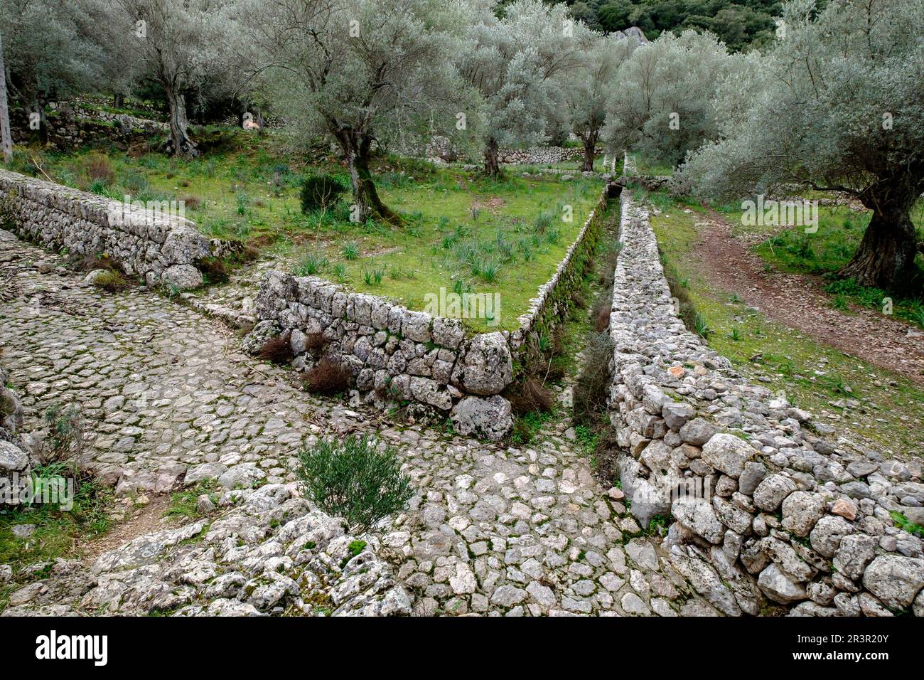 acequias tradicionales de piedra, Clot dAlbarca, Escorca, sierra de Tramuntana, Mallorca, balearen, spanien, europa. Stockfoto