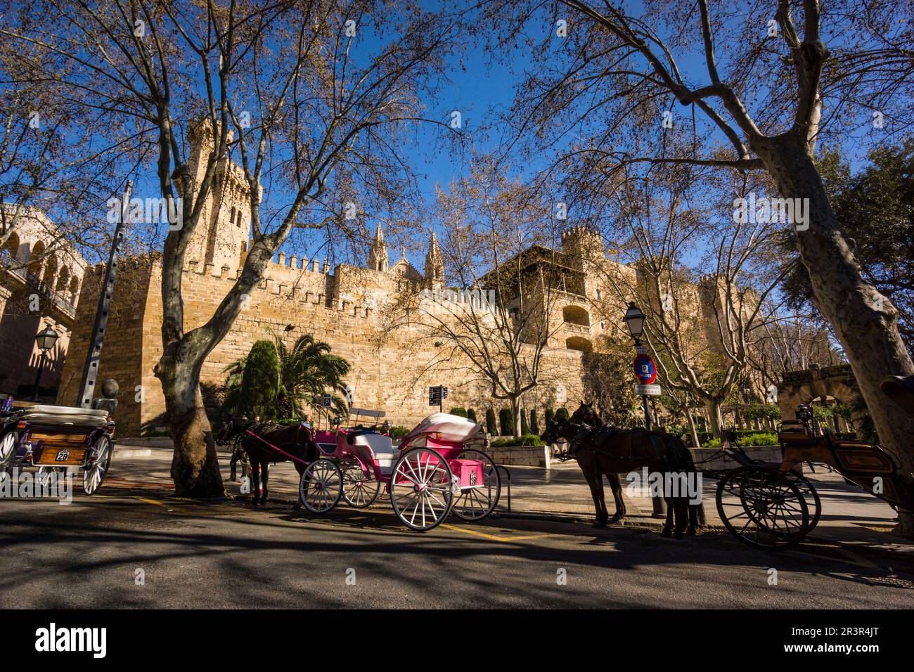 Galeras de Caballos Frente al Palacio Real De La Almudaina, Palma, Mallorca, Balearen, Spanien, Europa. Stockfoto