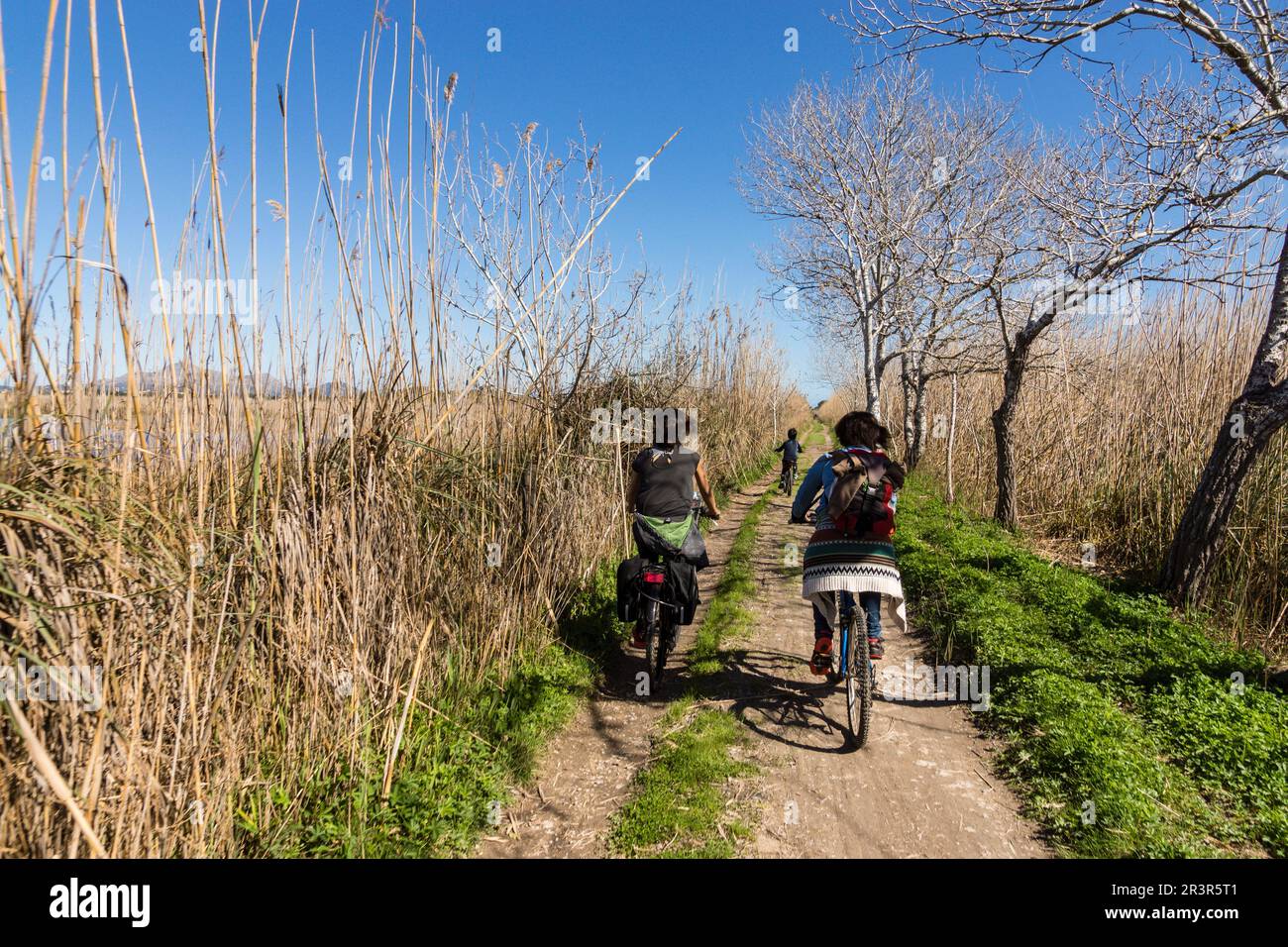 Parque Natural de La Albufera de Mallorca, Prat de Son Serra, Mallorca, Balearen, Spanien, Europa. Stockfoto