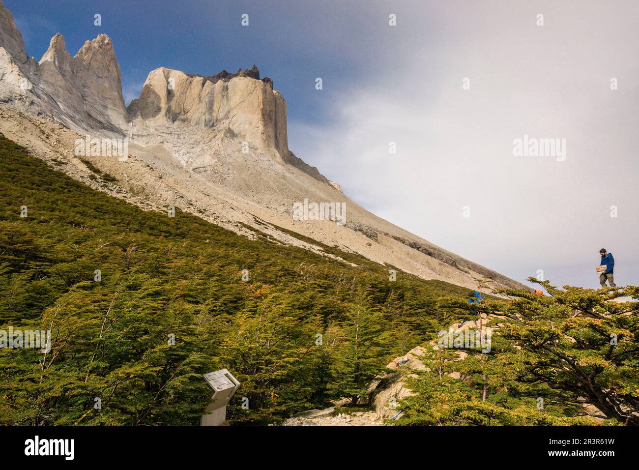 mirador Britanico, Valle del Frances, Trekking W, Parque nacional Torres del Paine,Sistema Nacional de Áreas Silvestres Protegidas del Estado de Chile.Patagonia, República de Chile,América del Sur. Stockfoto