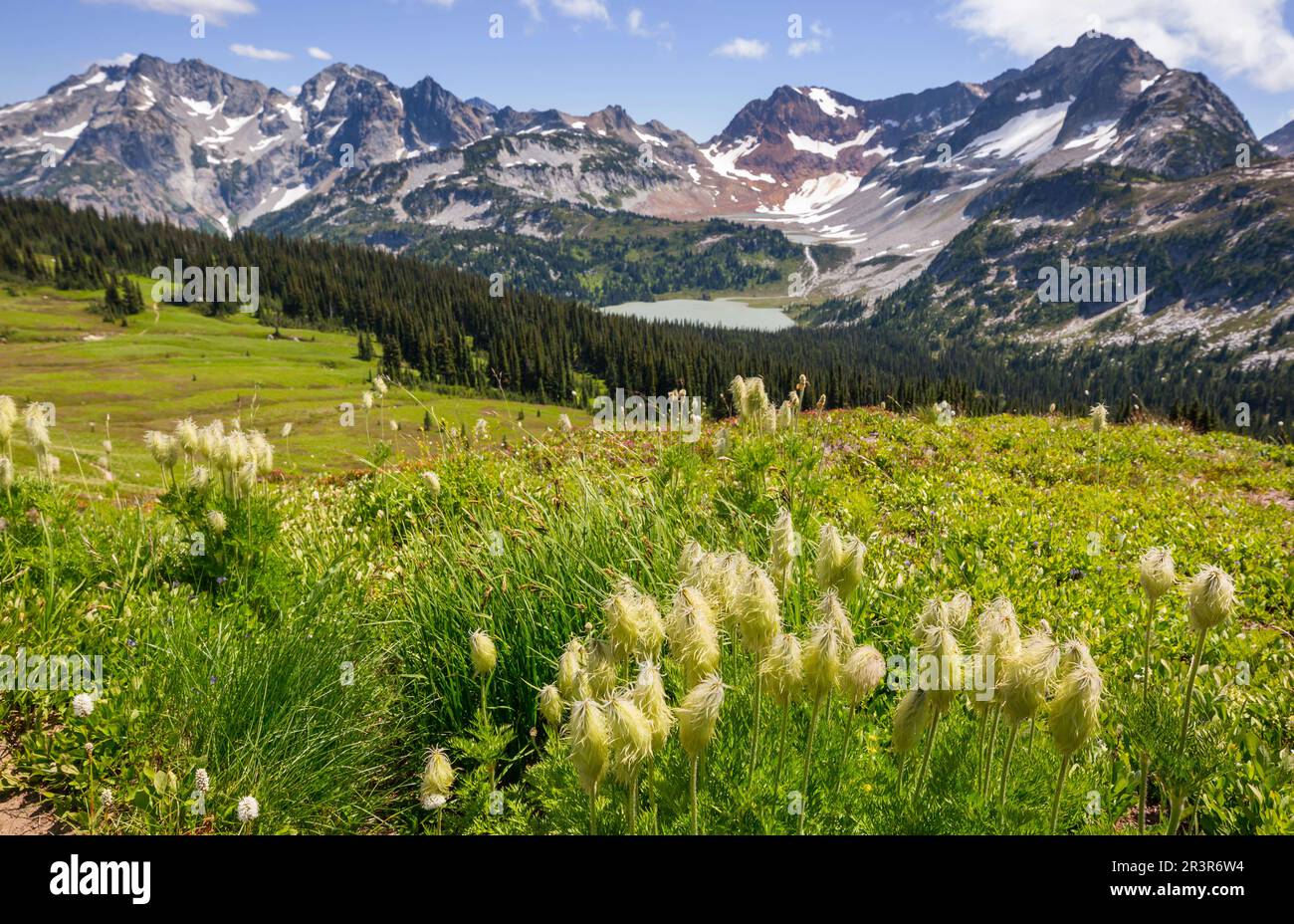 Berge in Washington Stockfoto