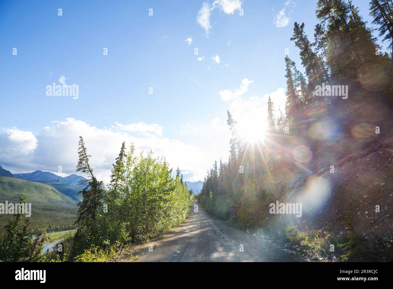 Straße in Alaska Stockfoto