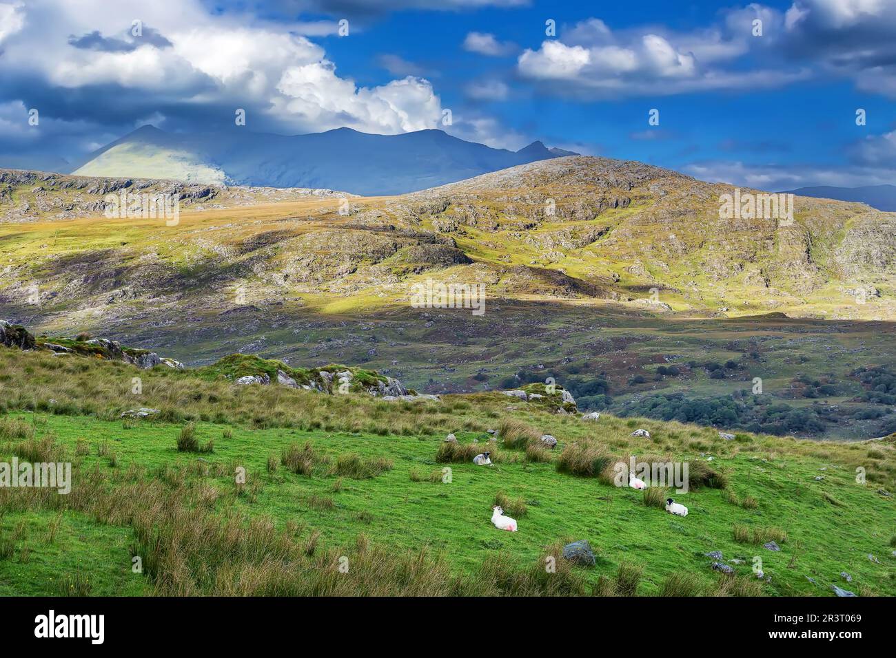 Landschaft in Ring of Kerry, Irland Stockfoto