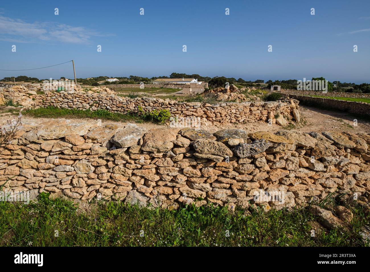 Traditionelle Steinmauern für landwirtschaftliche Flächen, Formentera, Pitiusas-Inseln, Balearengemeinschaft, Spanien. Stockfoto