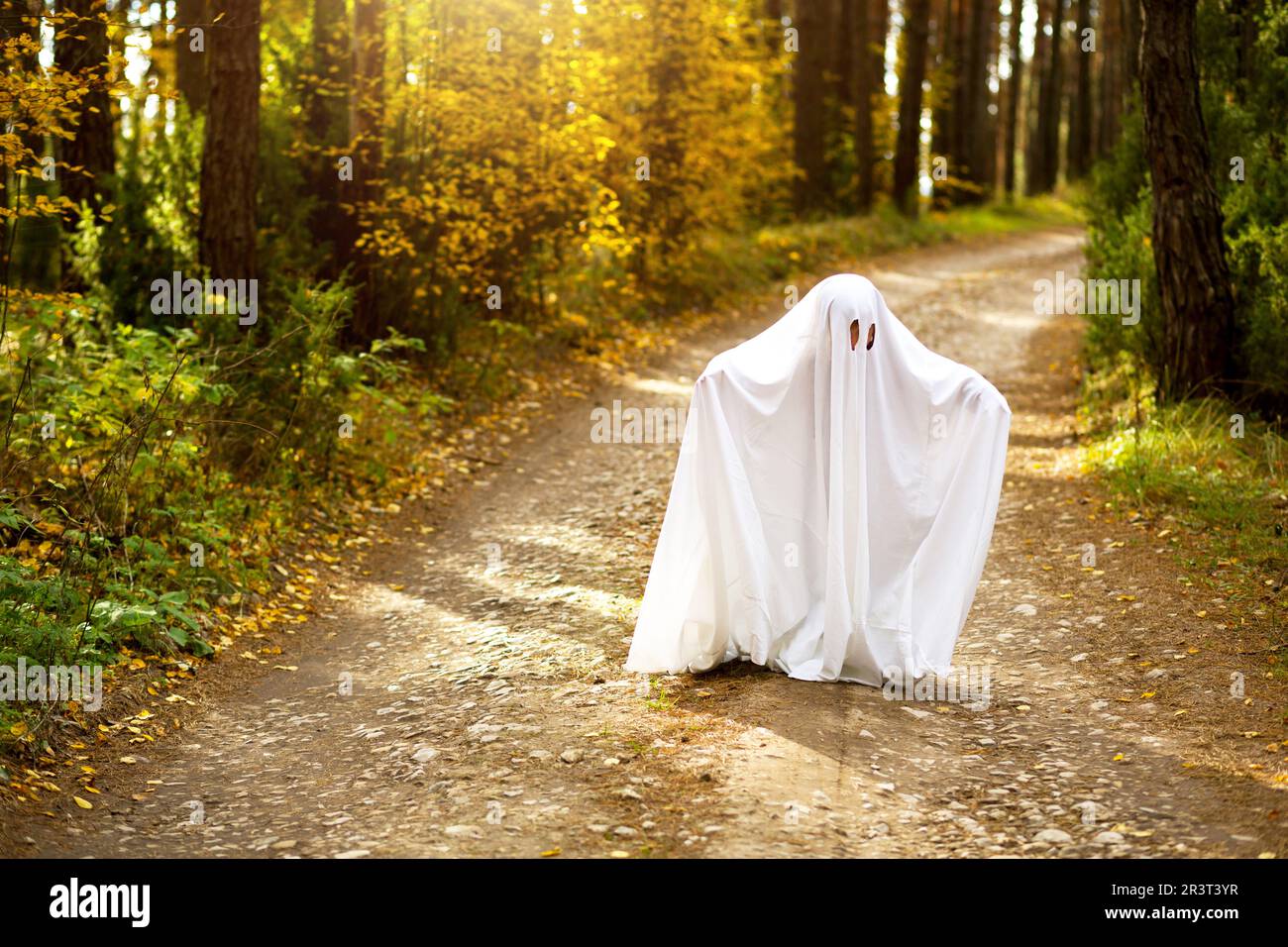 Ein Kind in Laken mit Schlitzen wie ein Geisterkostüm im Herbstwald erschreckt und erschreckt. Ein netter kleiner Geist. Halloween-Party Stockfoto