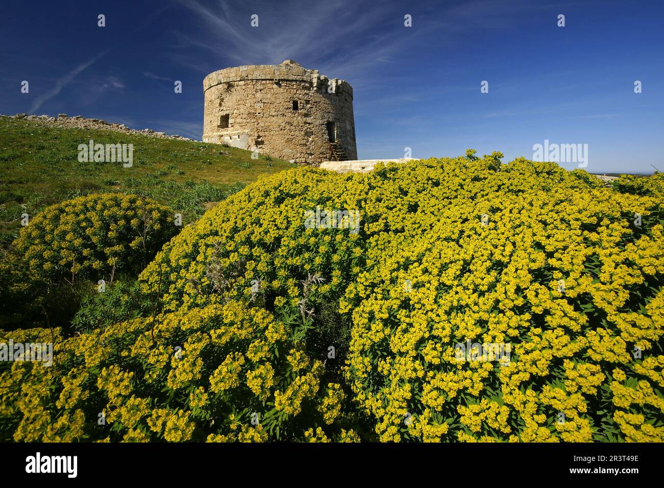 Torre d'en Estuart (Torre d'en Penjat) (s. XVIII). Cala de Sant Esteve. Menorca. Islas Baleares. España. Stockfoto