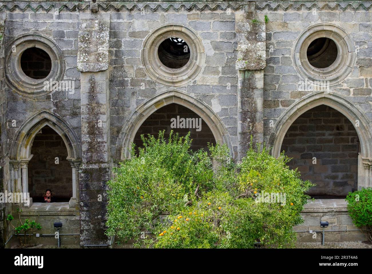 Claustro, construido Entre 1317 y 1340, estilo Gótico, Catedral de Évora, Sé Catedral Basílica de Nossa Senhora da Assunção, Évora, Alentejo, Portugal. Stockfoto