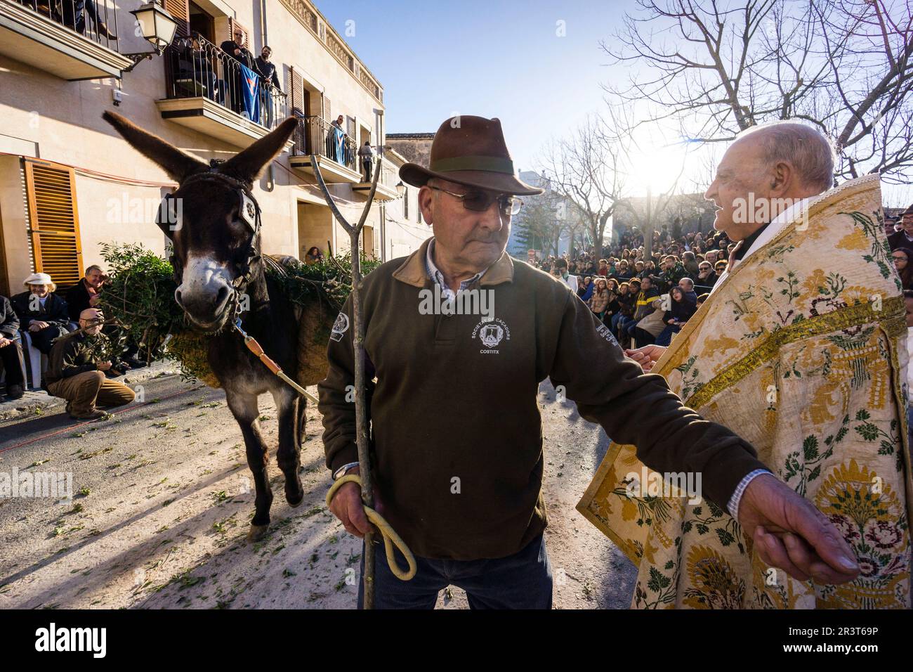 Beneïdes de Sant Antoni, Muro, Mallorca, Balearen, Spanien. Stockfoto