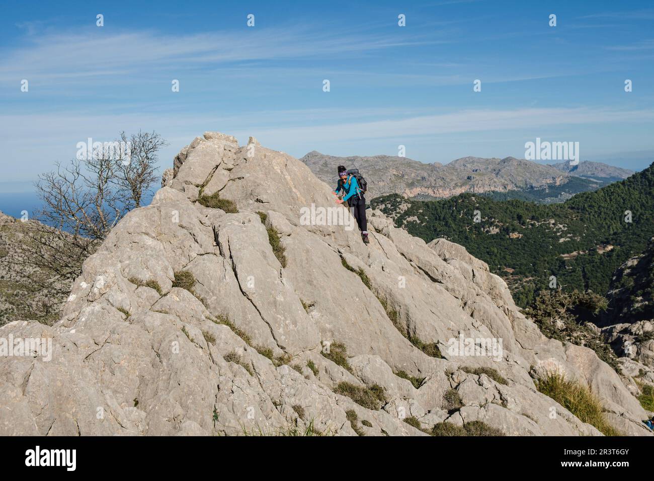 Wanderer, die am nordöstlichen Bergrücken nach Puig de Ses Vinyes aufsteigen, Escorca, Mallorca, Balearen, Spanien. Stockfoto