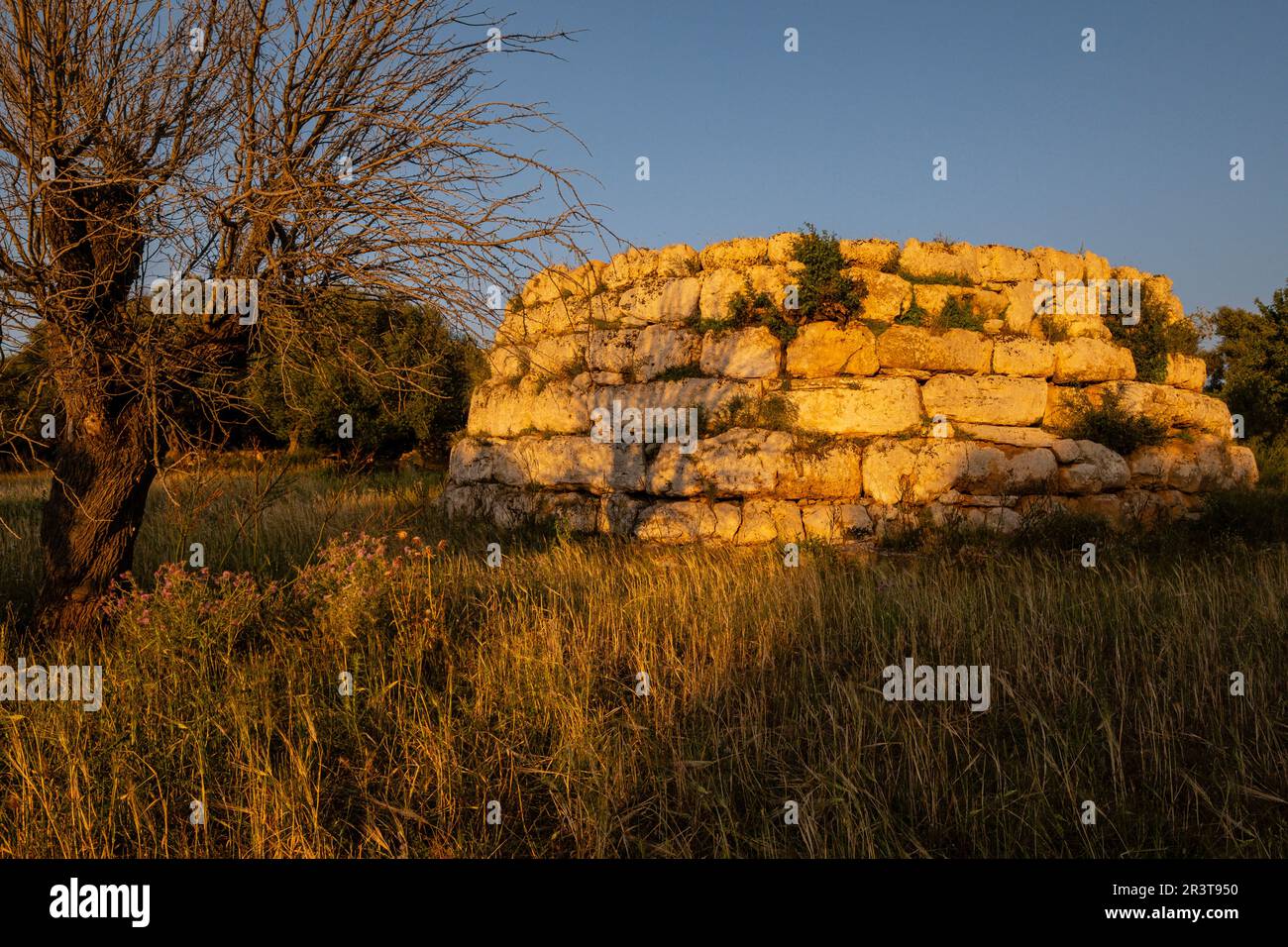 SA Clova des Xot talayot, Circular talayot, rund 1000 und 800 v. Chr., Standort Sa Canova, Arta, Mallorca, Balearen, Spanien. Stockfoto