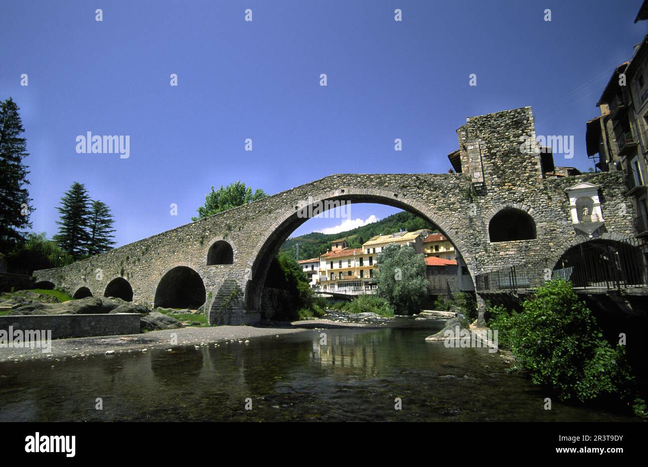 Puente romanico sobre el rio Ter(pont Nou. s.XII).Camprodon.Pirineos,Girona.Catalunya.España. Stockfoto